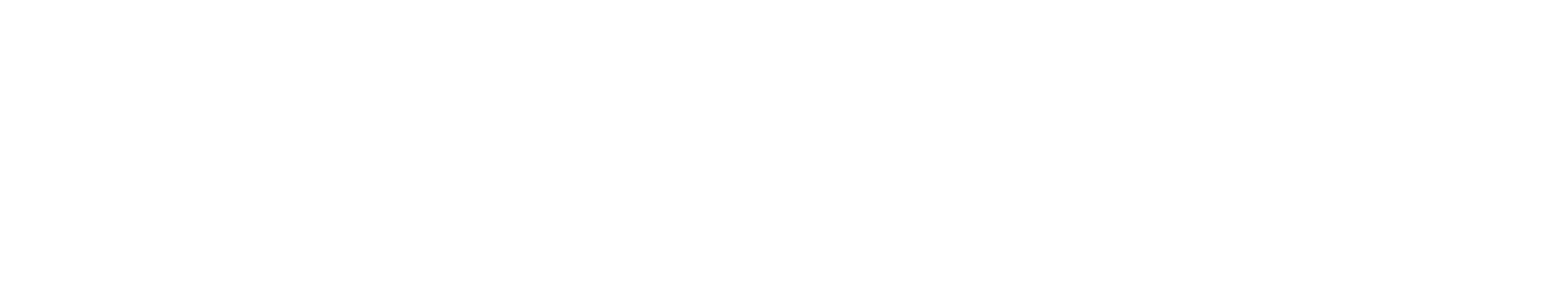 Max Ink Soluções